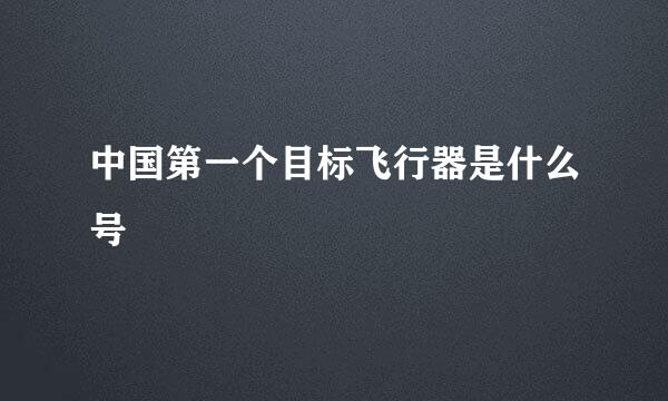 中国第一个目标飞行器是什么号