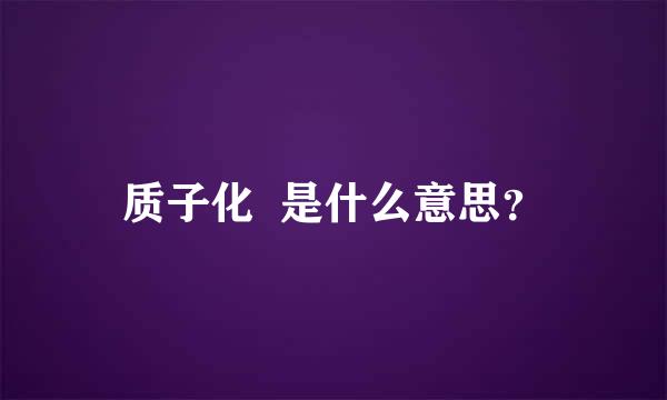 质子化  是什么意思？