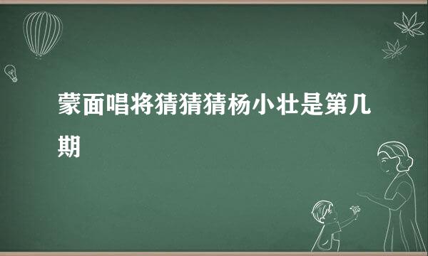 蒙面唱将猜猜猜杨小壮是第几期