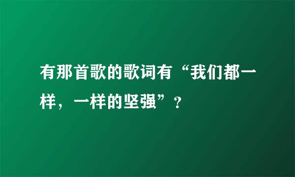 有那首歌的歌词有“我们都一样，一样的坚强”？