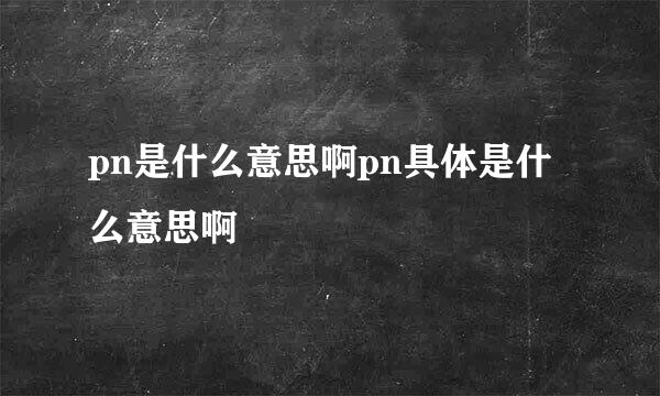 pn是什么意思啊pn具体是什么意思啊