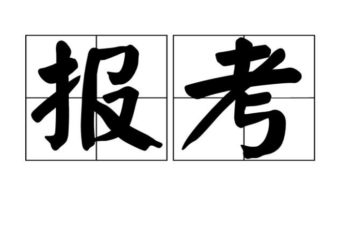 报考什么意思