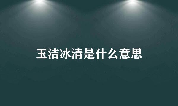 玉洁冰清是什么意思