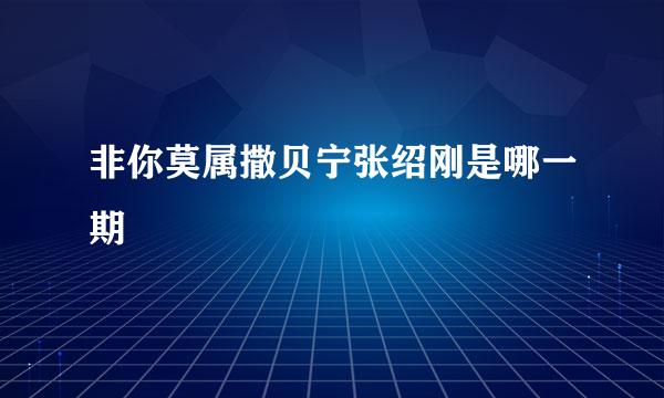 非你莫属撒贝宁张绍刚是哪一期