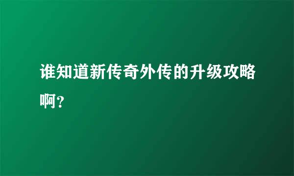 谁知道新传奇外传的升级攻略啊？