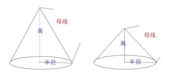 母线是什么？