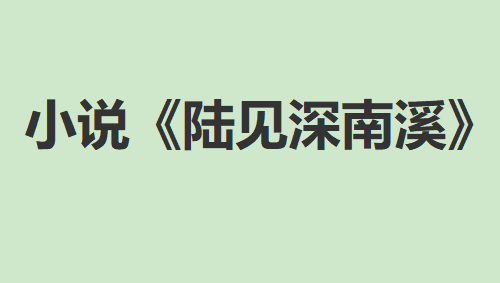 陆见深和南溪的小说名字