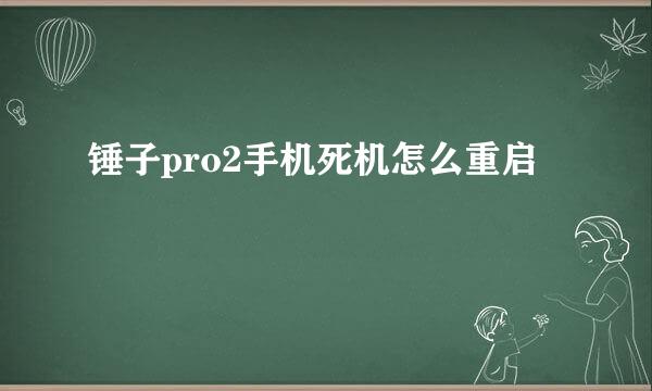 锤子pro2手机死机怎么重启