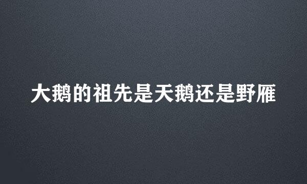 大鹅的祖先是天鹅还是野雁