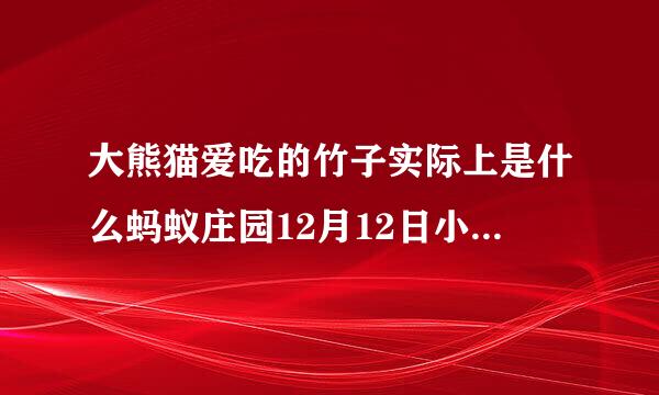 大熊猫爱吃的竹子实际上是什么蚂蚁庄园12月12日小课堂答案