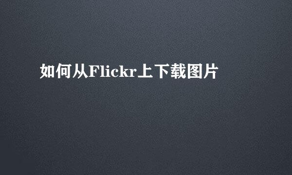 如何从Flickr上下载图片