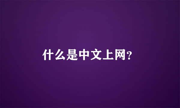 什么是中文上网？