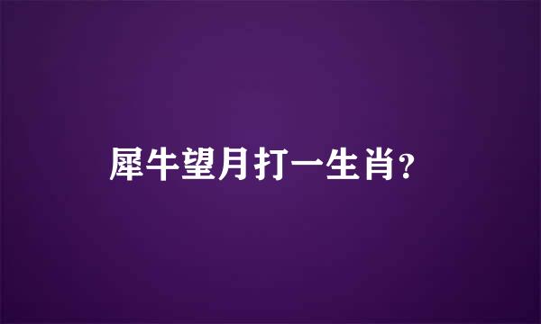 犀牛望月打一生肖？