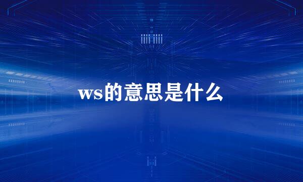 ws的意思是什么