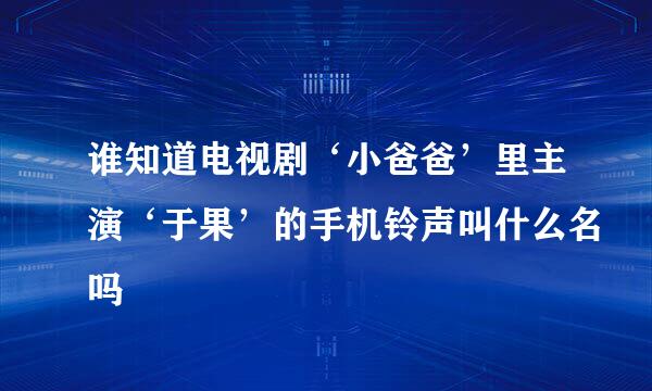 谁知道电视剧‘小爸爸’里主演‘于果’的手机铃声叫什么名吗