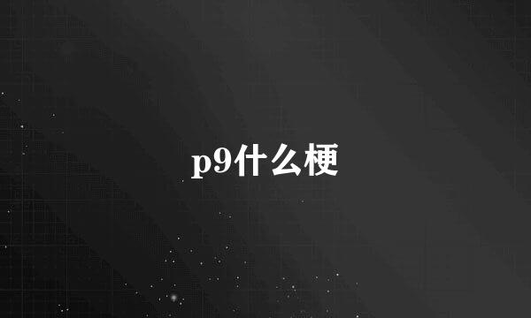 p9什么梗