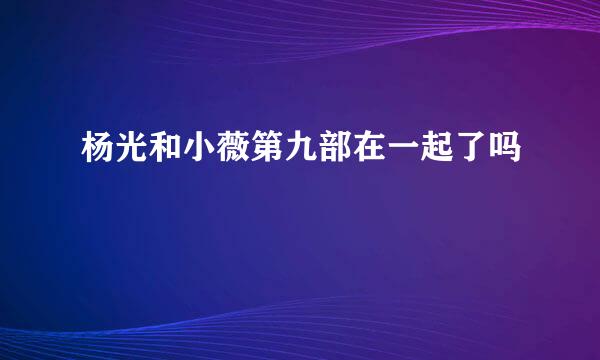 杨光和小薇第九部在一起了吗