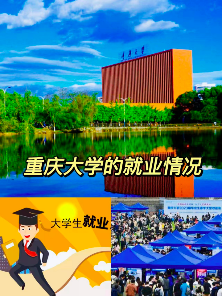 重庆大学毕业生的就业情况如何?