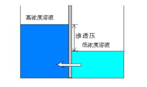 渗透压单位是什么?