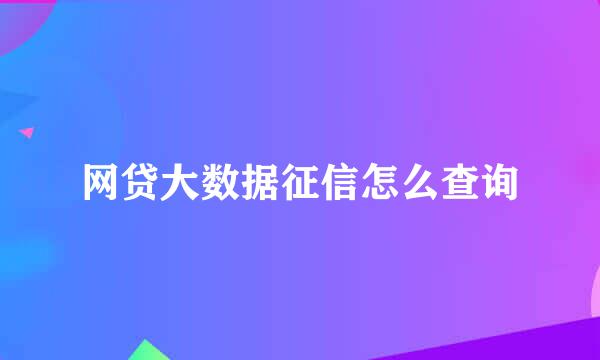 网贷大数据征信怎么查询