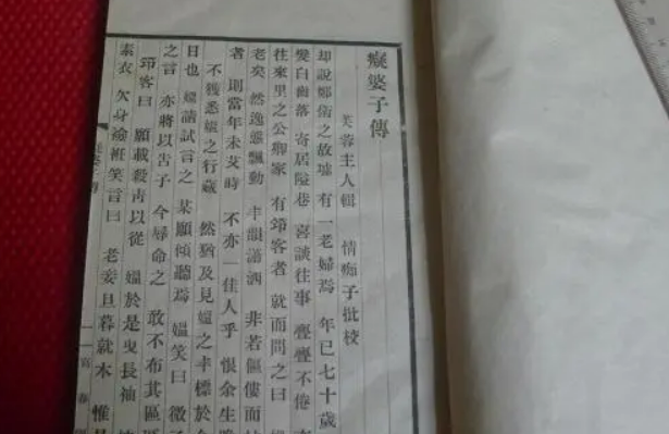 痴婆子传白话文翻译及原文