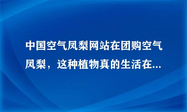 中国空气凤梨网站在团购空气凤梨，这种植物真的生活在空气中？