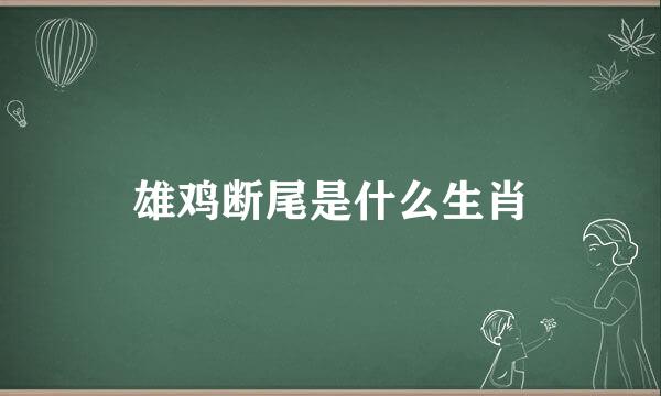 雄鸡断尾是什么生肖