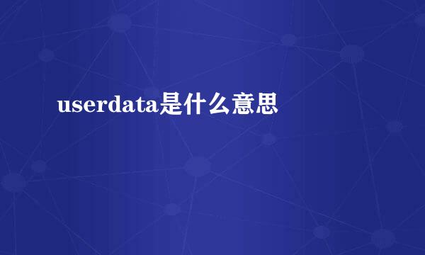 userdata是什么意思