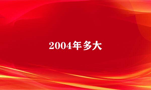 2004年多大