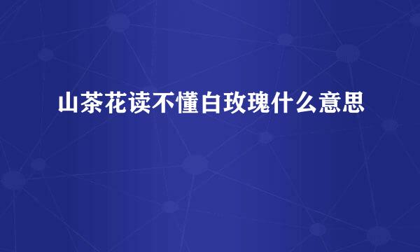 山茶花读不懂白玫瑰什么意思