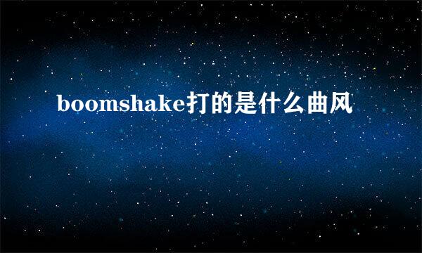 boomshake打的是什么曲风