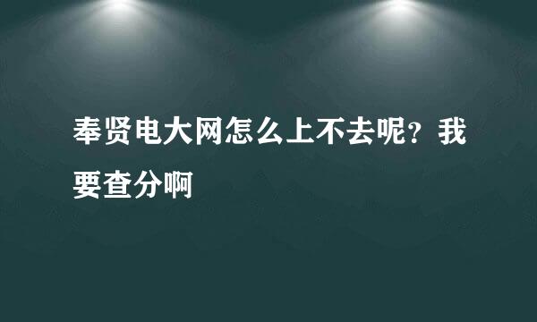 奉贤电大网怎么上不去呢？我要查分啊