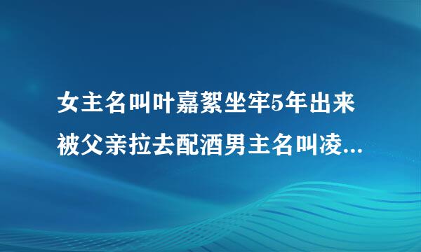 女主名叫叶嘉絮坐牢5年出来被父亲拉去配酒男主名叫凌哲小说？