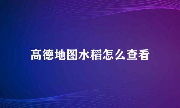 高德地图水稻怎么查看