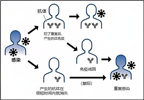 会重复感染同一个新冠毒株吗？