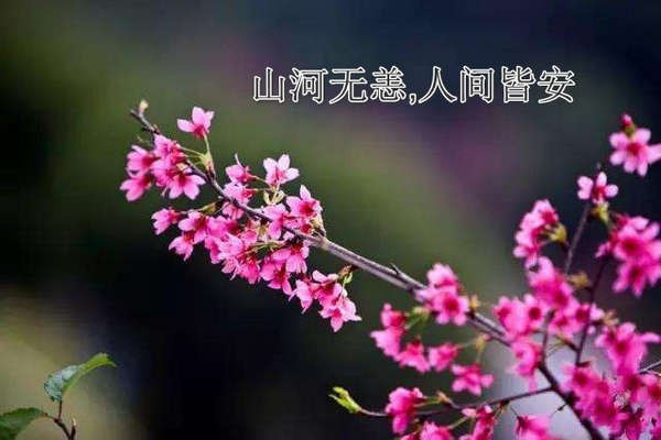 山河无恙，人间皆安是什么意思？