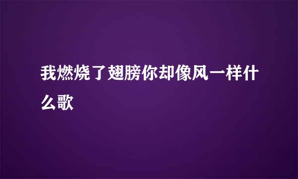 我燃烧了翅膀你却像风一样什么歌