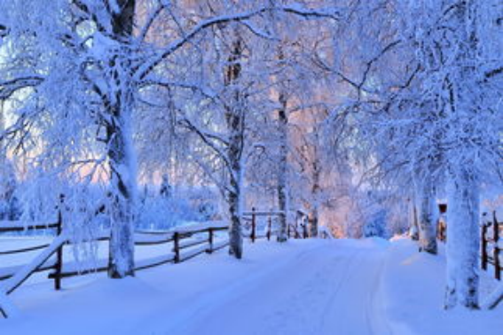 北京兔年第一场雪是哪一天