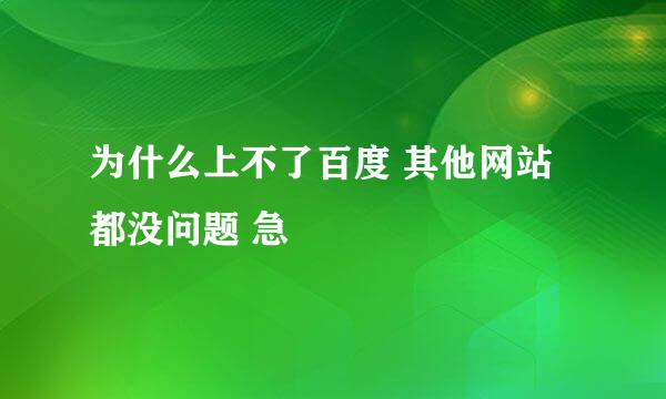 为什么上不了百度 其他网站都没问题 急