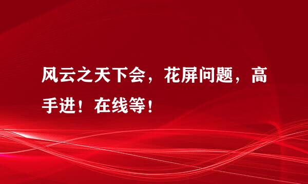 风云之天下会，花屏问题，高手进！在线等！