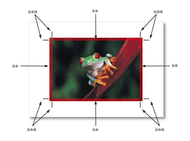 设计中出血什么意思？出血的尺寸一般是多少？