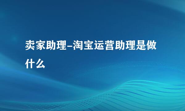 卖家助理-淘宝运营助理是做什么