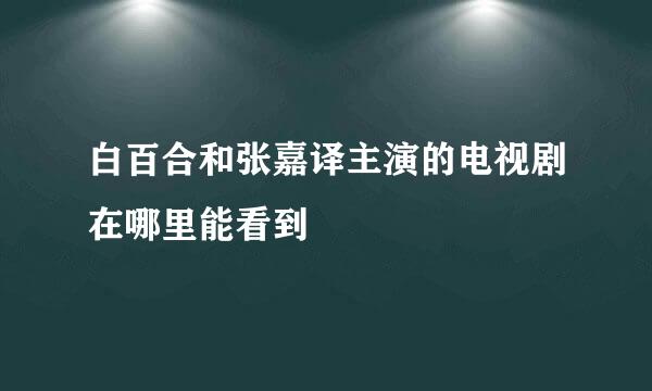 白百合和张嘉译主演的电视剧在哪里能看到