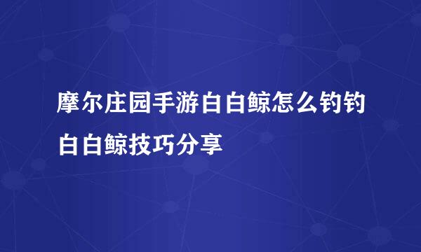 摩尔庄园手游白白鲸怎么钓钓白白鲸技巧分享