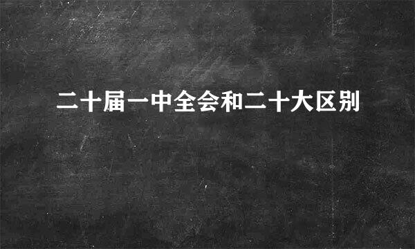 二十届一中全会和二十大区别