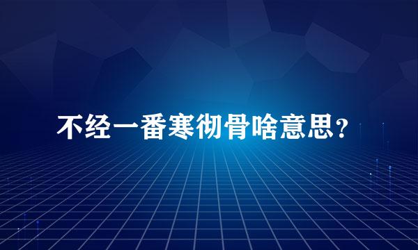 不经一番寒彻骨啥意思？