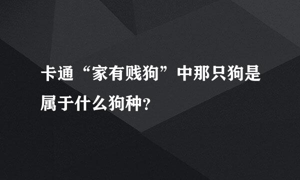 卡通“家有贱狗”中那只狗是属于什么狗种？