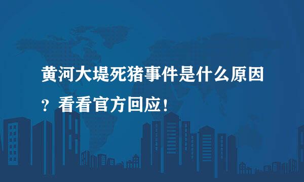 黄河大堤死猪事件是什么原因？看看官方回应！