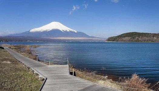 日本电影登上高高的富士山母亲演员，请大神告诉我，请写出她的中文名