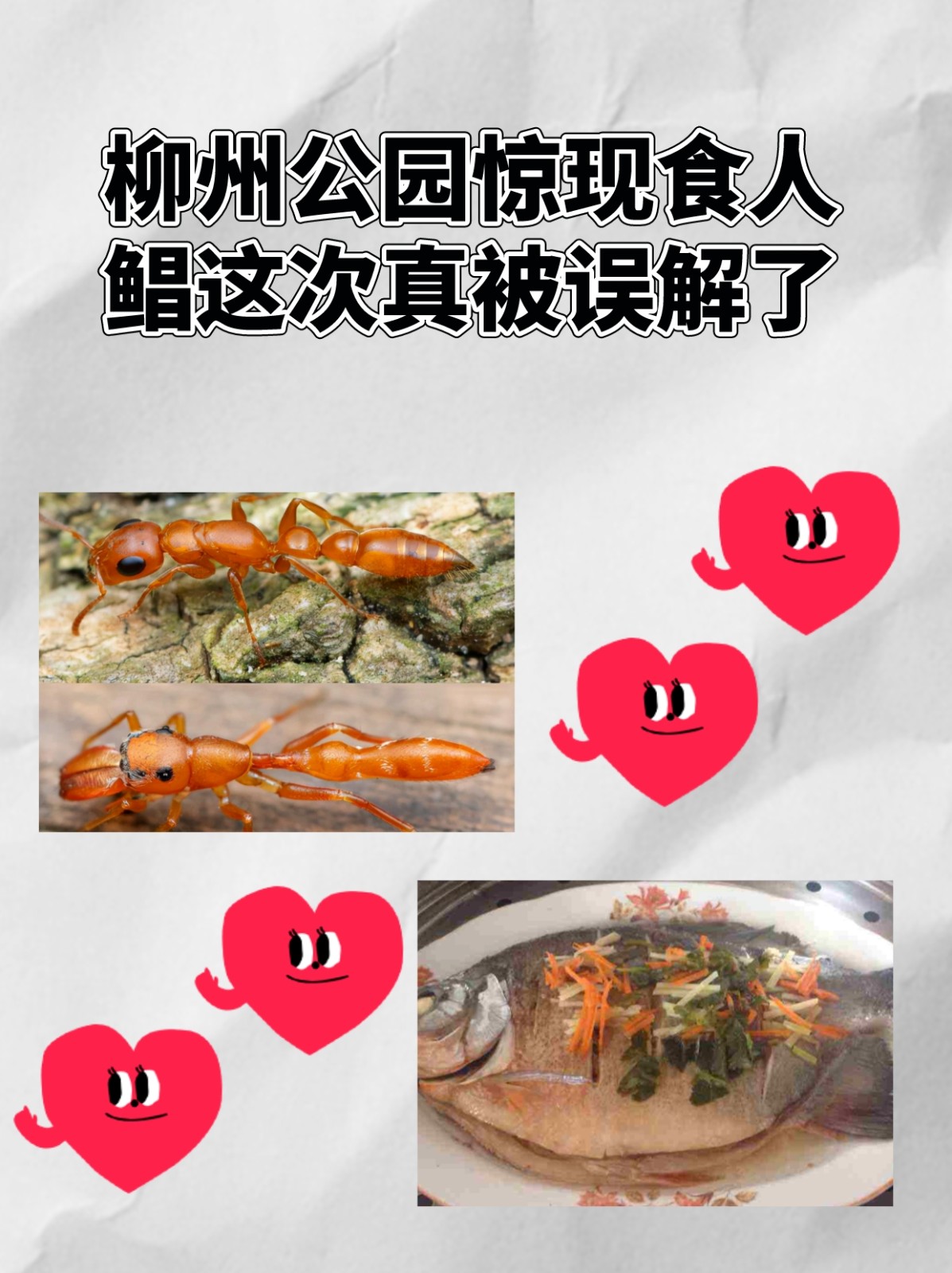 柳州公园惊现食人鲳，这次真被误解了